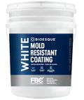 Mold Resistant Coating (640 Fl Oz)
