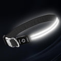 LED Dog Collar with Metal Buckle - USB Rechargeable Glow Collar for Dogs, Waterproof Light Up Dog Collar w/Reflective Strips - Adjustable Night Safety Collars by PetIsay(White,Large)