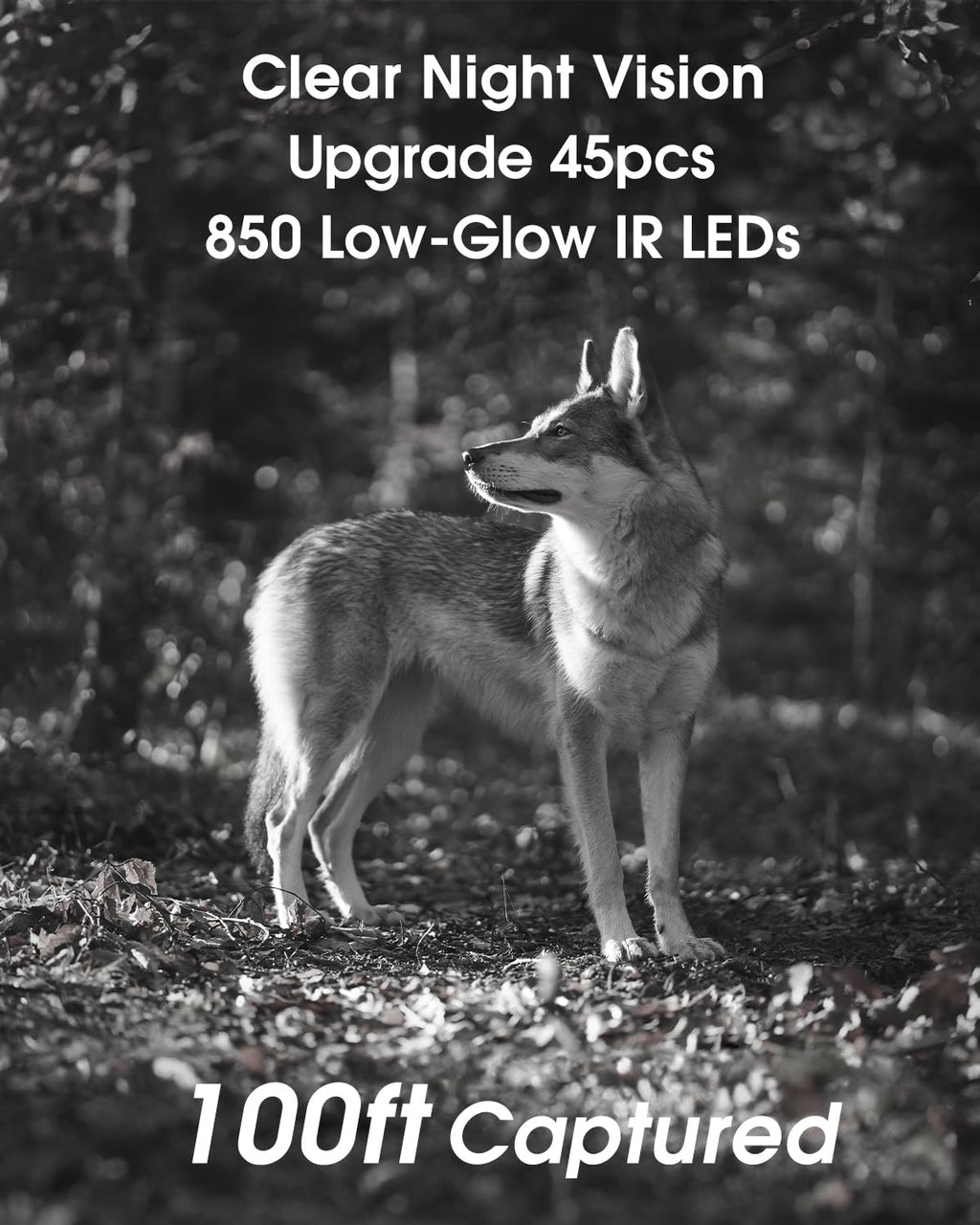 KJK Trail Camera - 4K, 64MP, WiFi, Bluetooth, IP67