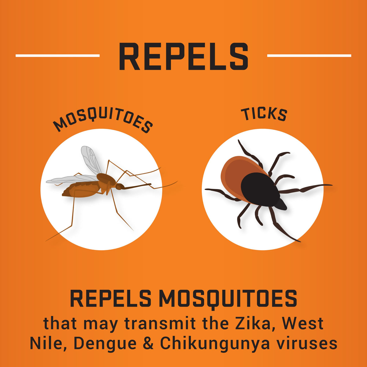 Repel Insect Repellent - 6.5 Oz, 3 Pack