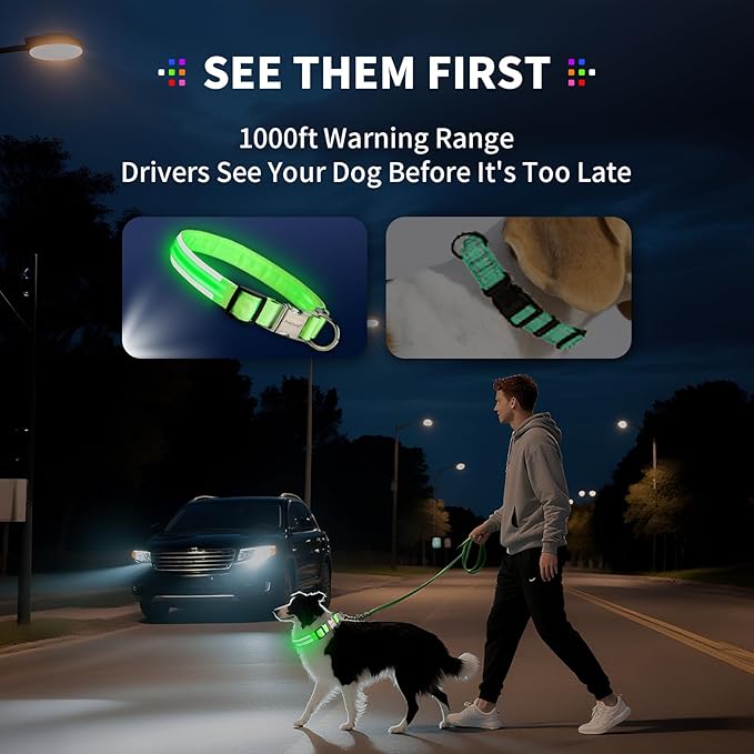 LED Dog Collar with Metal Buckle - USB Rechargeable Glow Collar for Dogs, Waterproof Light Up Dog Collar w/Reflective Strips - Adjustable Night Safety Collars by PetIsay(White,Large)