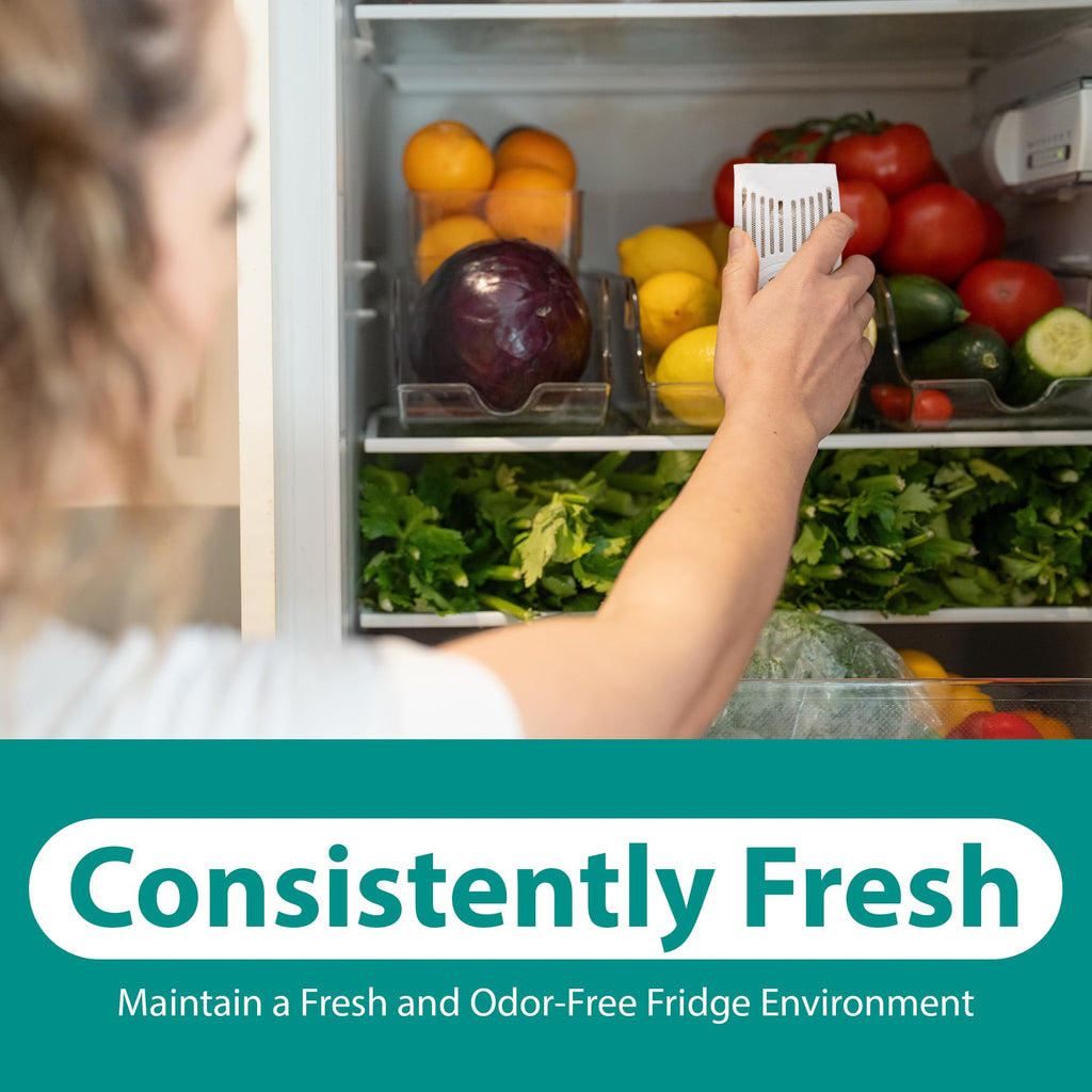 Refrigerator Deodorizer with Zeolites (4 Count)