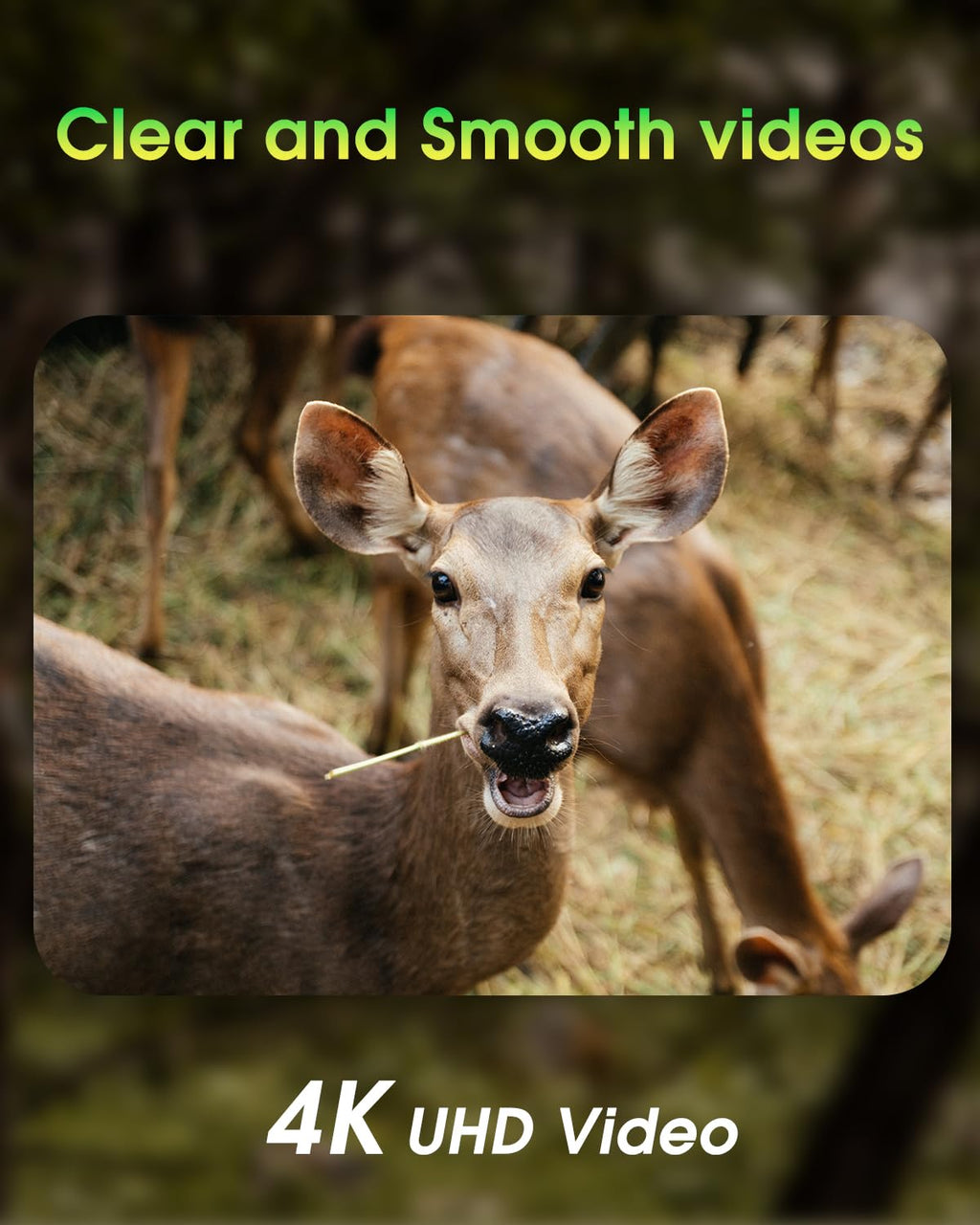KJK Trail Camera - 4K, 64MP, WiFi, Bluetooth, IP67