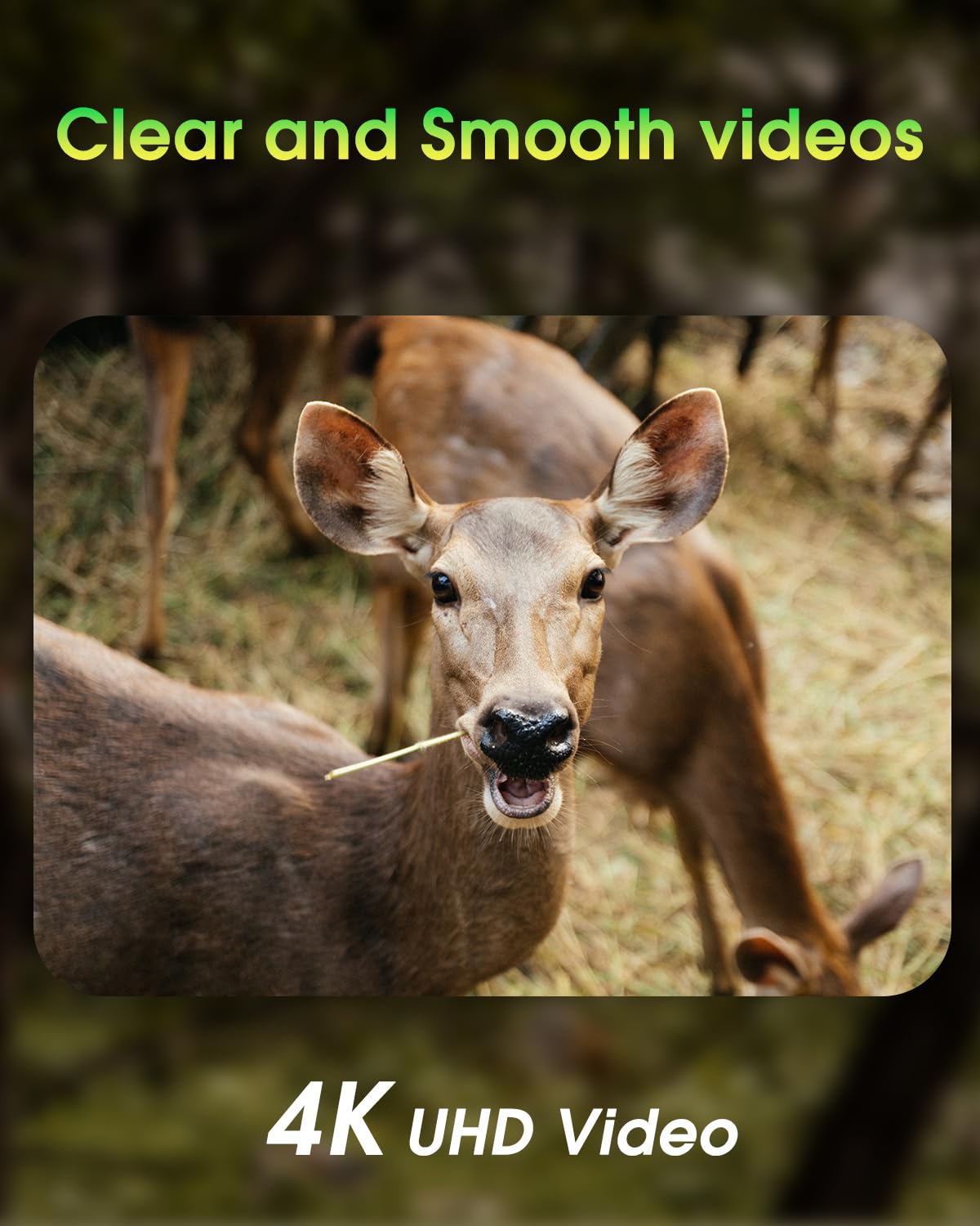 KJK Trail Camera - 4K, 64MP, WiFi, Bluetooth, IP67