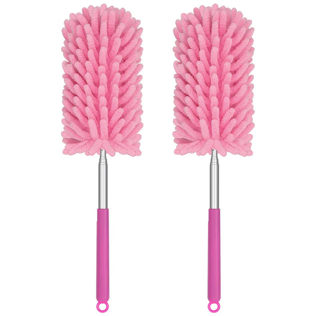 Mini Duster for Cleaning