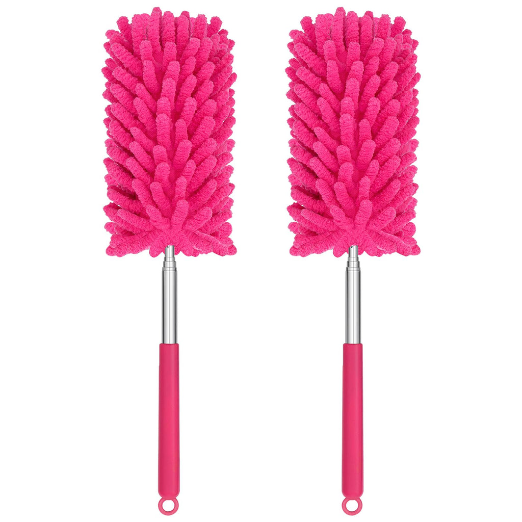 Mini Duster for Cleaning