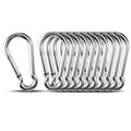 Small Carabiner Clip Hooks, 10pcs 1.57 inch Carabiners Heavy Duty, 304 Stainless Steel Spring Snap Hook Fits Camping Hiking, Metal Clips for Rope Chain Keychain Keys Rings