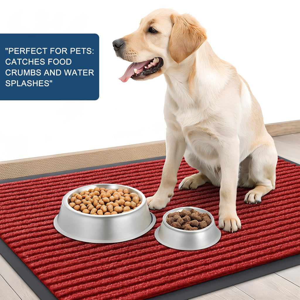 Front Door Mat 35x23