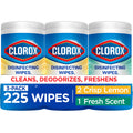 Disinfecting Wipes Back to School Variety Pack (225 Count)