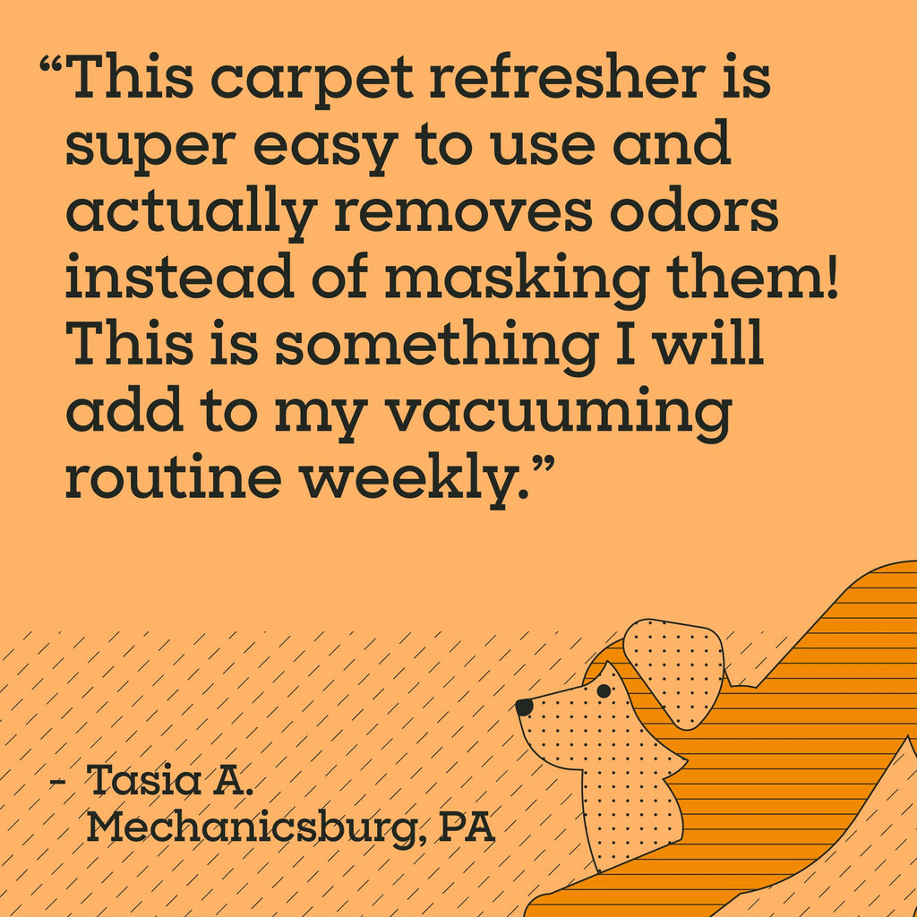 Carpet Deodorizer Powder (16 Ounce)