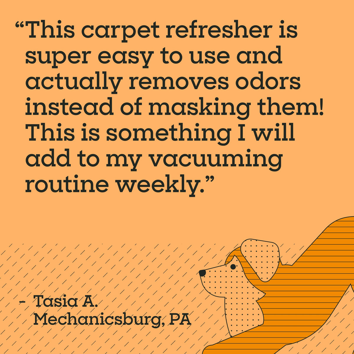 Carpet Deodorizer Powder (16 Ounce)