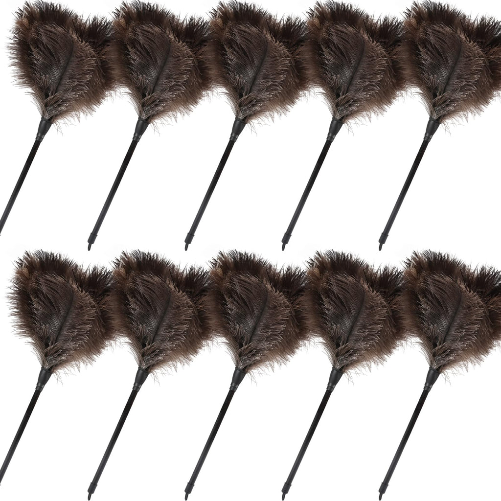 Ostrich Feather Duster (10 Count)