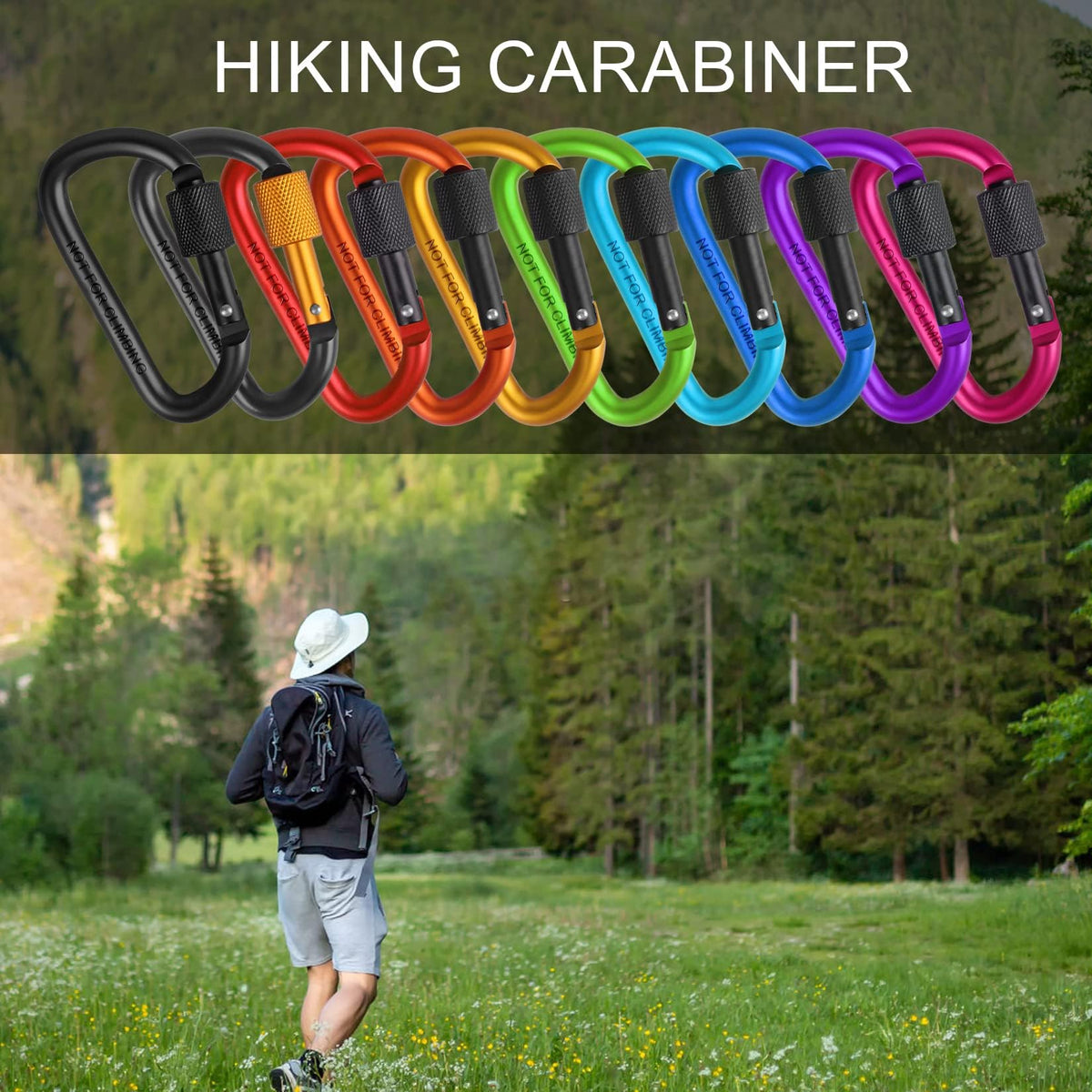 10 Pack Aluminum D Ring Key Rings Hiking Clips Locking Carabiner for Hiking Camping Fishing and Outdoor Use，Clips with Screw Gate Multicolored
