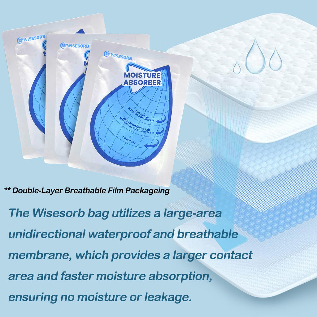 100 Gram 20 Packs Moisture Absorbers (20 Count)