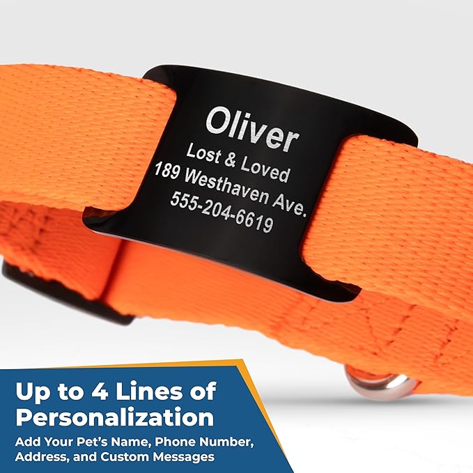 GoTags Reflective Personalized Dog Collar with Nameplate, Adjustable Dog Collar with Custom Engraved Steel Slide On Pet ID Tag, Silent, No Noise Dog Tag for Large Medium or Small (Orange, Medium)