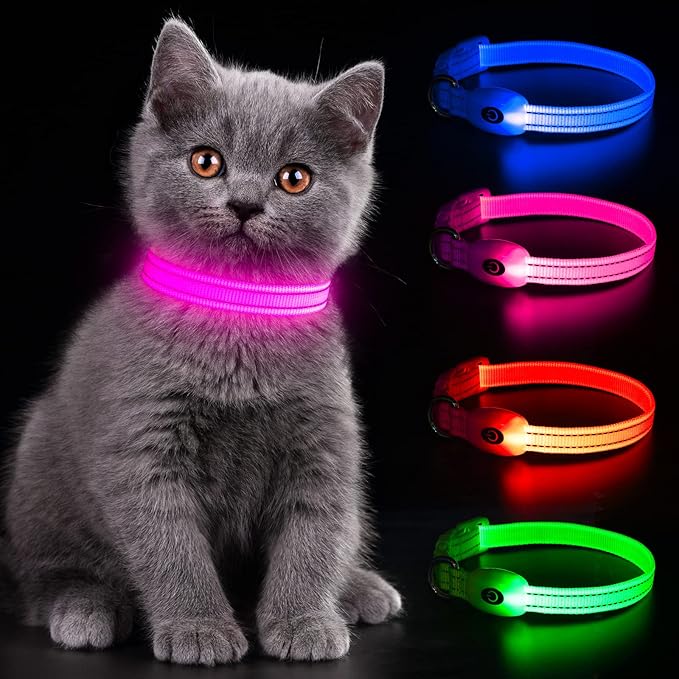 YFbrite Light up Dog Collars for Night Walking, Rechargeable LED Cat Collar, Comfortable Adjustable Lighted Dog Collar Rechargable for Cats, Small, Medium and Large Dogs (Pink, XS)